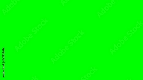 Looped animation on a green background. For videos and sites.