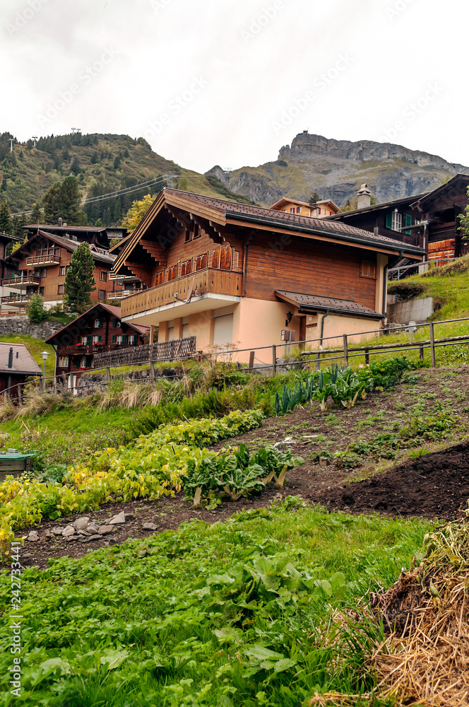 Wooden houses in the Murren mountains in Switzerland on a cloudy day Wooden houses in the Murren mountains in Switzerland on a cloudy day