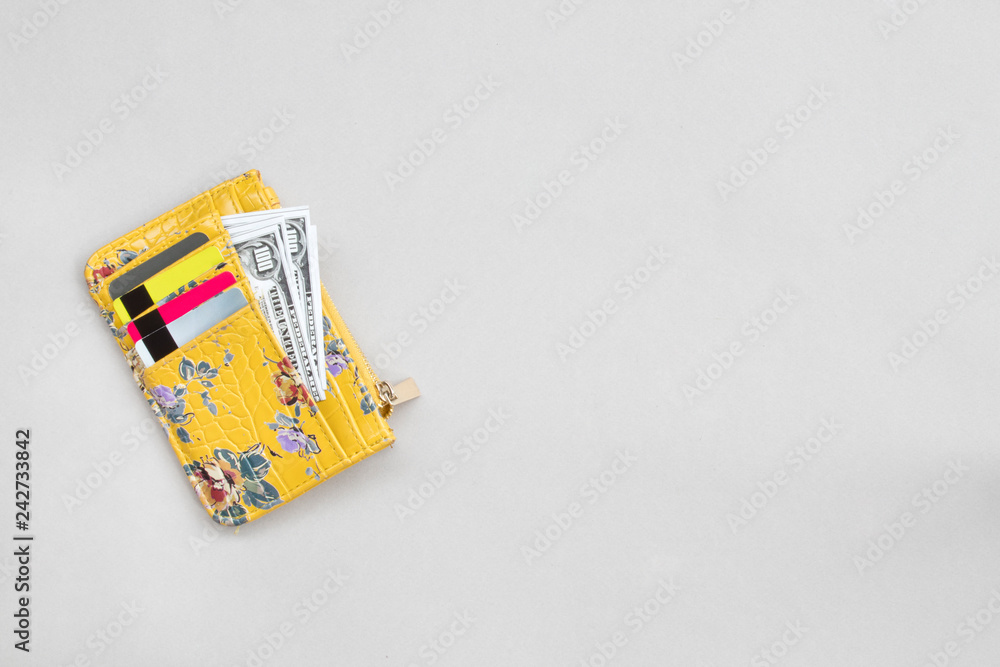 Woman wallet with dollar and bank cards on the grey background. Woman wallet with dollar and bank cards on the grey background.