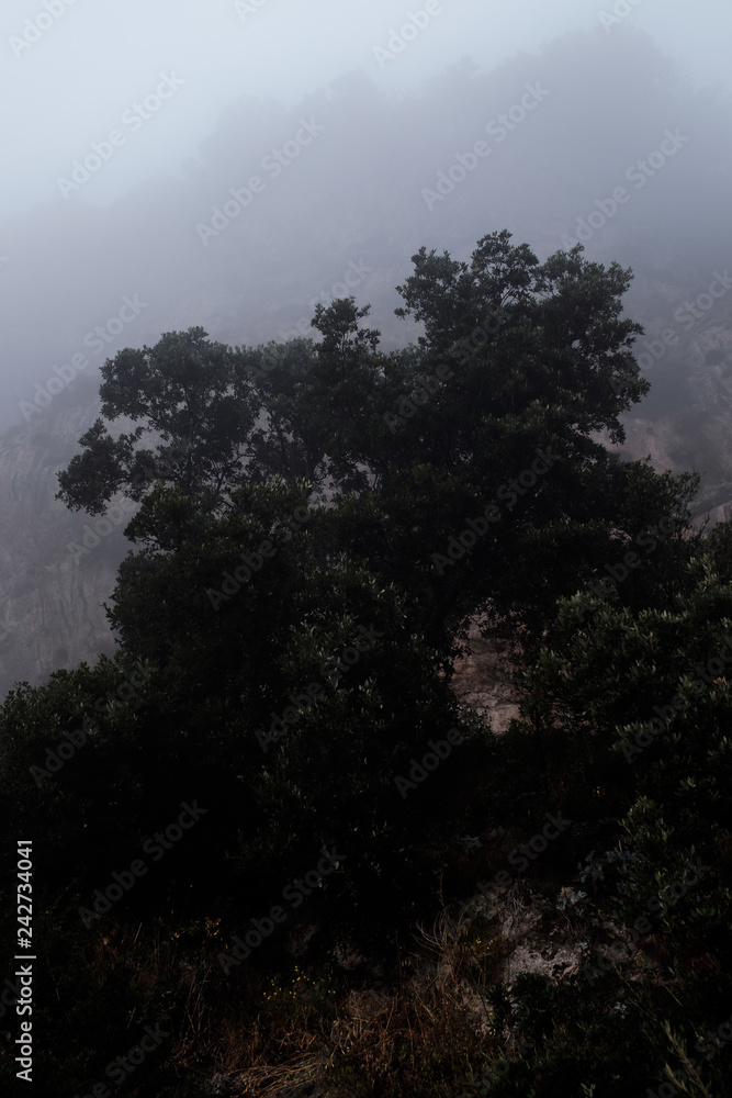 Fototapeta Amalfiküste