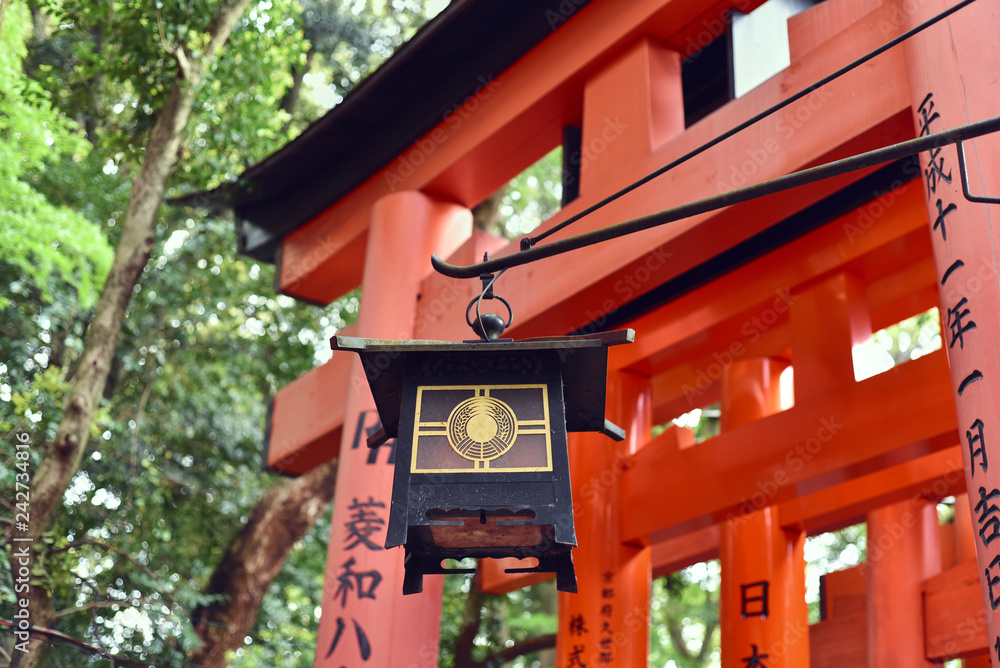 Chinese lantern hanging in front of Torii Gate Chinese lantern hanging in front of Torii Gate