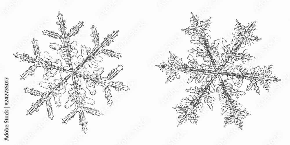 Two snowflakes isolated on white background. Vector illustration based ...