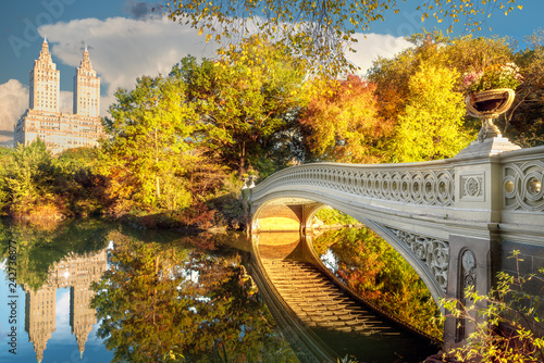 Bridge in Central Park in New York photo