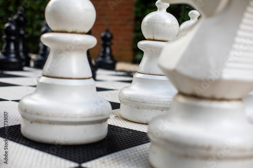 Large Chess Pieces on Chess Board