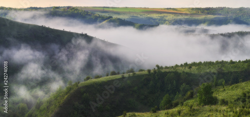 foggy canyon of a picturesque river. spring dawn