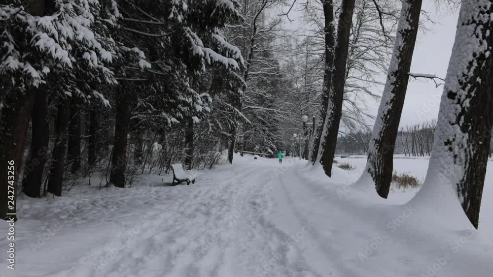 Snow covered winter road landscape with walking person. HD Footage. Snow covered winter road landscape with walking person. HD Footage.