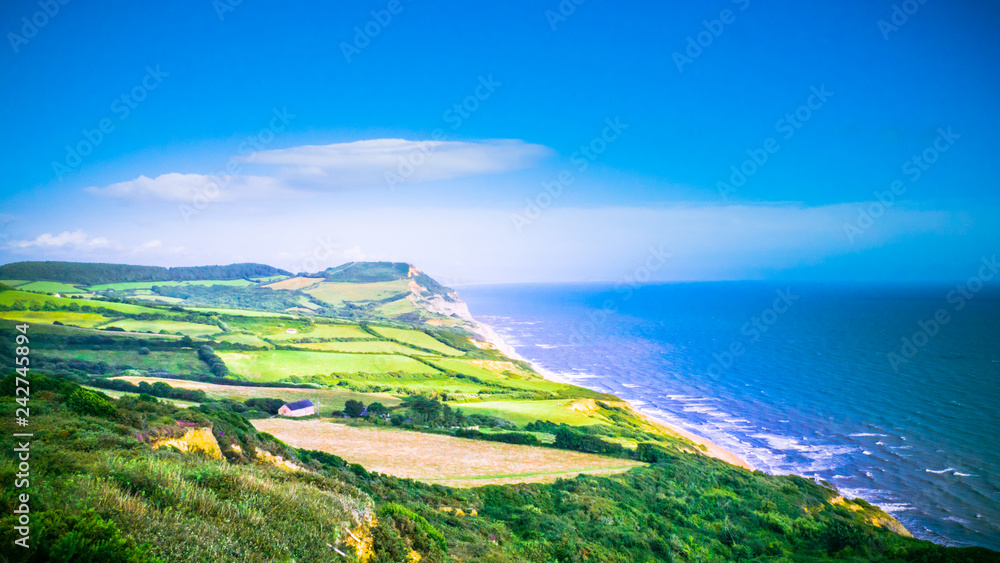 Green fields on a hill with the sea / English Channel and English countryside in the background. Golden Cap on jurassic coast in Dorset, UK. Photo with selective focus. Bright summer holidays photo.