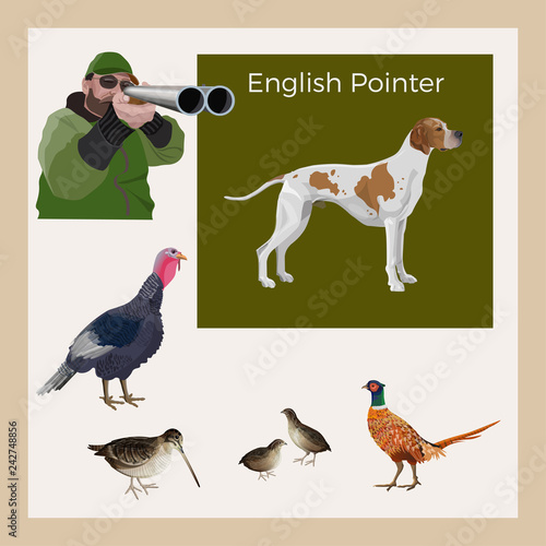 Hunting gun dog vector