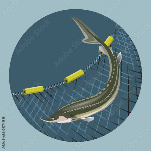 Sea fishing sign design