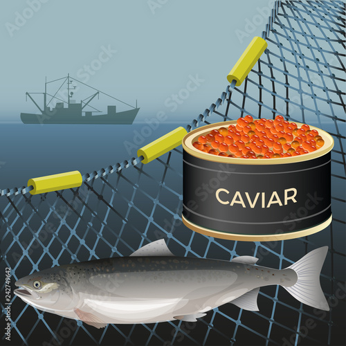 Salmon fish set