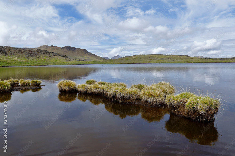 On the banks of beautiful Andean lagoon located more than 4000 meters above sea level. Purity and tranquility.
