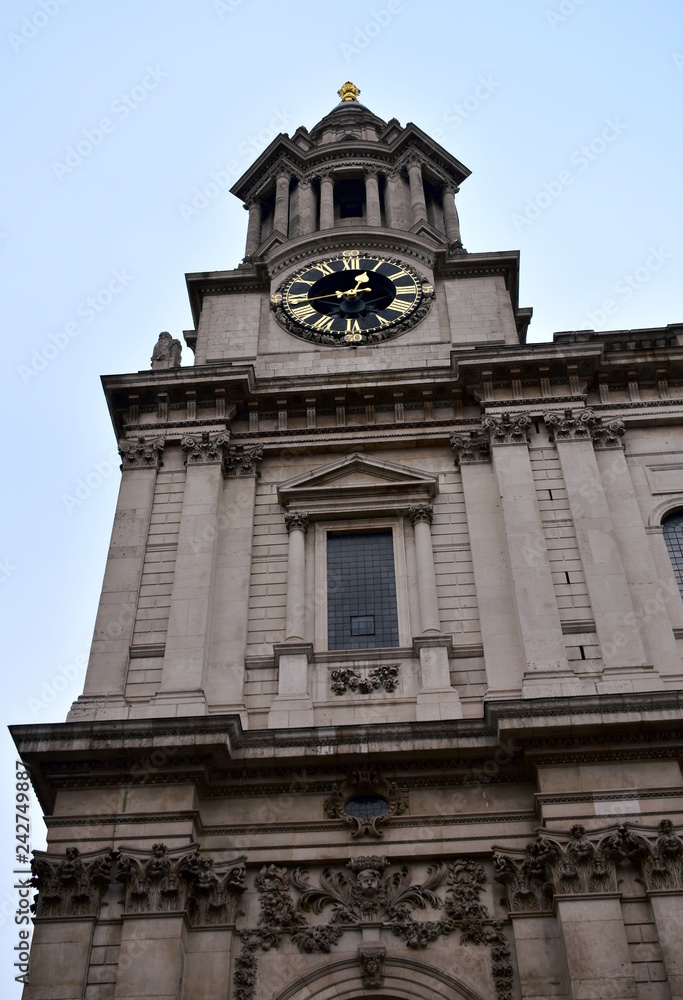 St Pauls Cathedral. North side with tree, dome, walls and windows. London, United Kingdom.