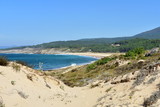Beach with forest, big sand dunes with vegetation and blue sea with waves and foam.  Blue sky, sunny day. Galicia, Spain.