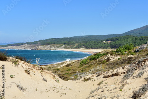 Beach with forest, big sand dunes with vegetation and blue sea with waves and foam. Blue sky, sunny day. Galicia, Spain.