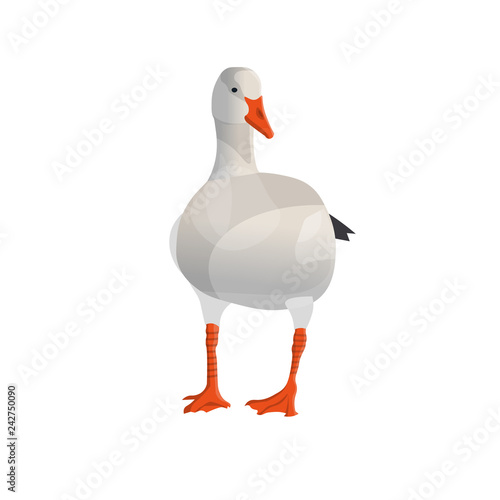 White goose vector