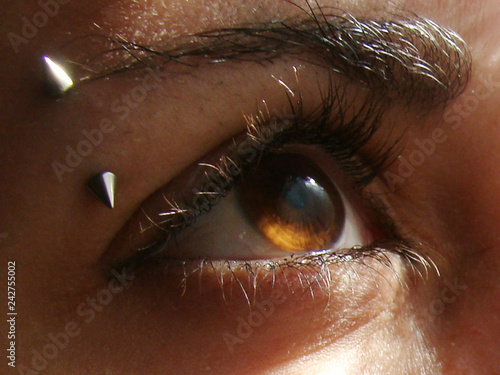 the eye  photo