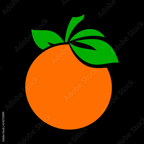 Orange fruit vector illustration