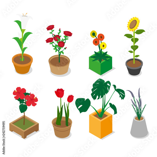 Isometric Assorted Flower