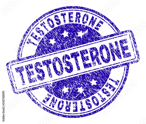 TESTOSTERONE stamp seal watermark with grunge texture. Designed with rounded rectangles and circles. Blue vector rubber print of TESTOSTERONE title with unclean texture.