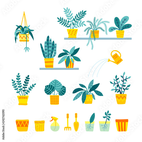 Set of indoor folliage plants, houseplant care, growing and watering in flat style