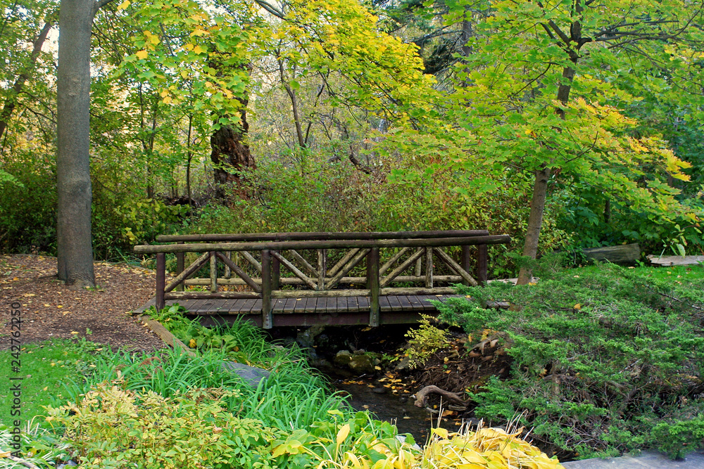 Fototapeta premium Footbridge in a Park