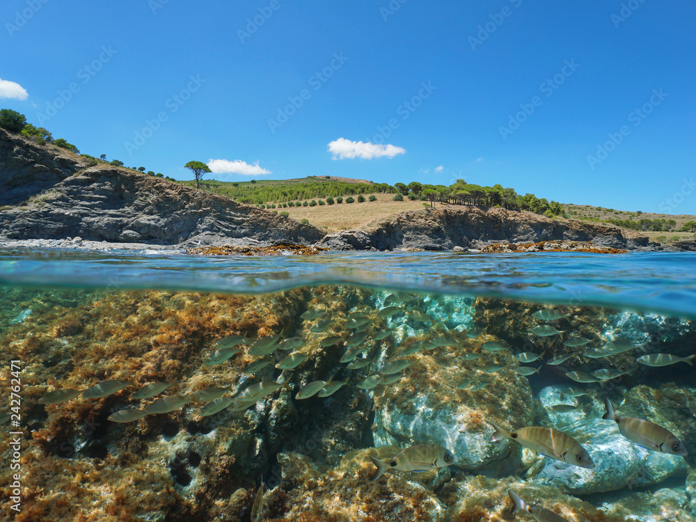 Spain rocky coastline with a school of fish underwater near Colera on the Costa Brava, split view half over and under water, Mediterranean sea, Catalonia