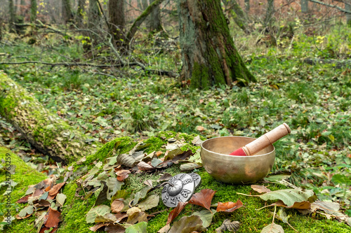 A Himalayan singing bowl and tingsha bell with curved words of an ancient heart mantra in the forest