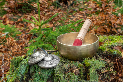 A Himalayan singing bowl and tingsha bell with curved words of an ancient heart mantra on an old tree trunk  covered with mosses and lichens