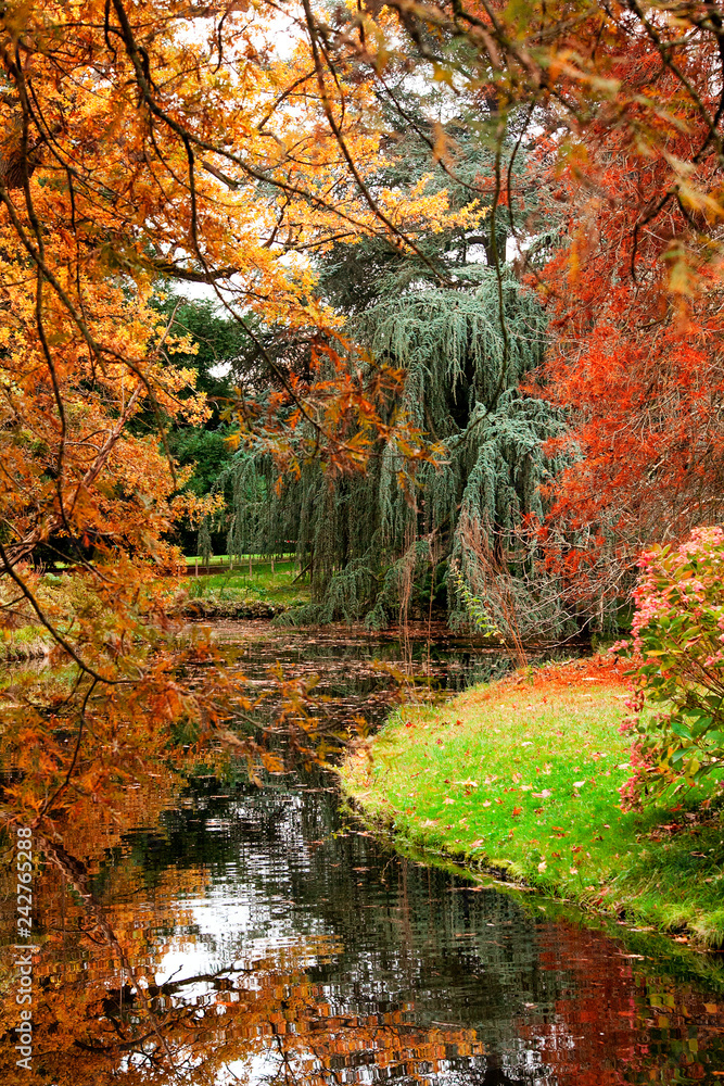 The river in the middle of the autumn park