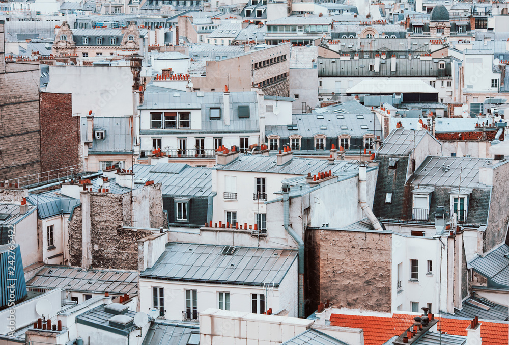 Old Paris roofs