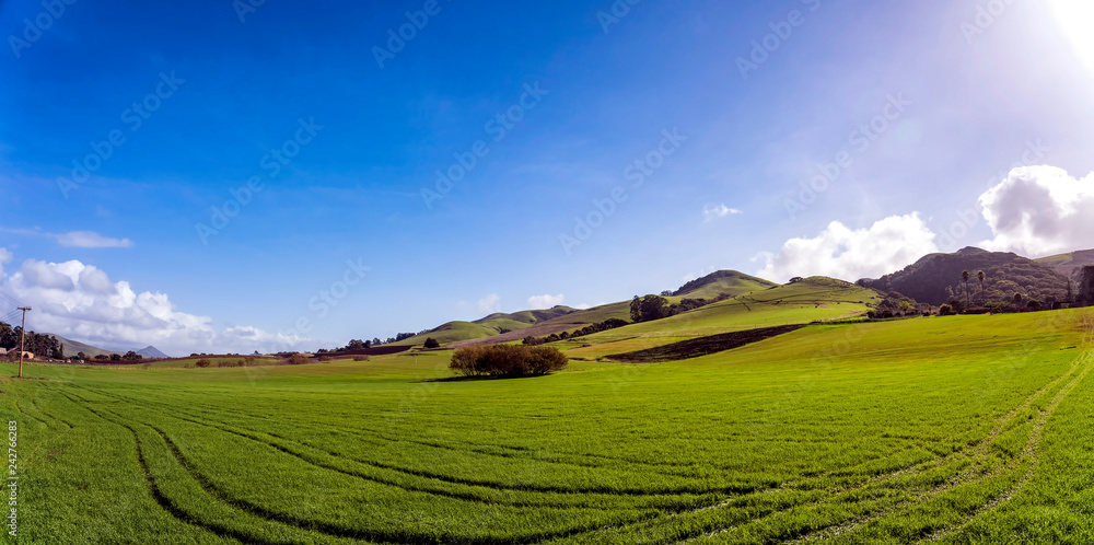 Panoramic Pasture, field of Green and Hills