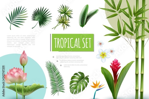Realistic Tropical Plants Collection