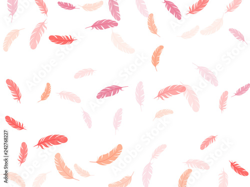 Flying feather elements airy vector design.