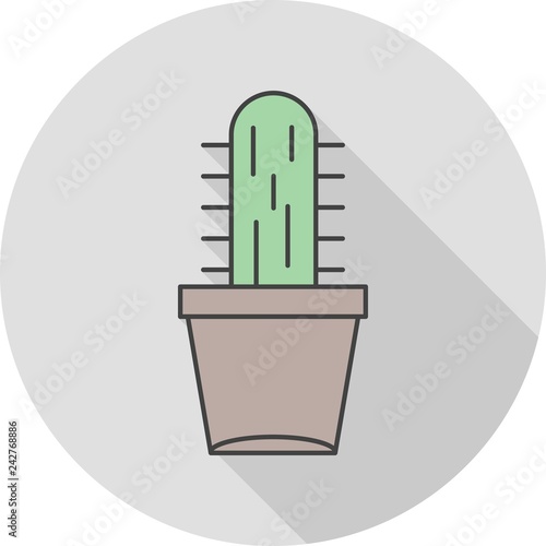 vector catcus plant icon photo