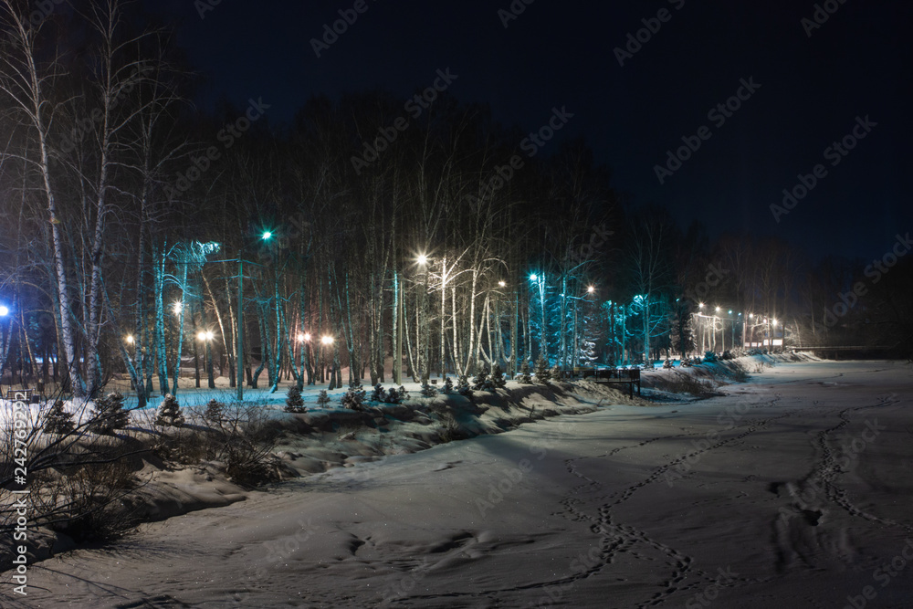 The quiet evening in the park - winter landscape, soft focus processing The quiet evening in the park - winter landscape, soft focus processing