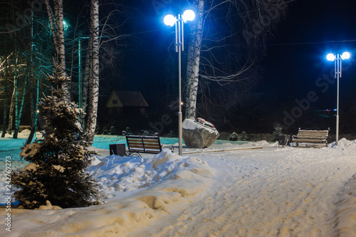 The quiet evening in the park - winter landscape, soft focus processing