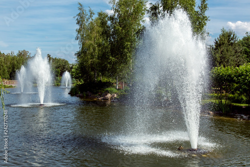 decorative artificial pond with fountains spraying water against the background of green plants and trees.