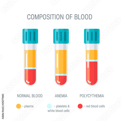 Composition of blood concept, flat vector concept
