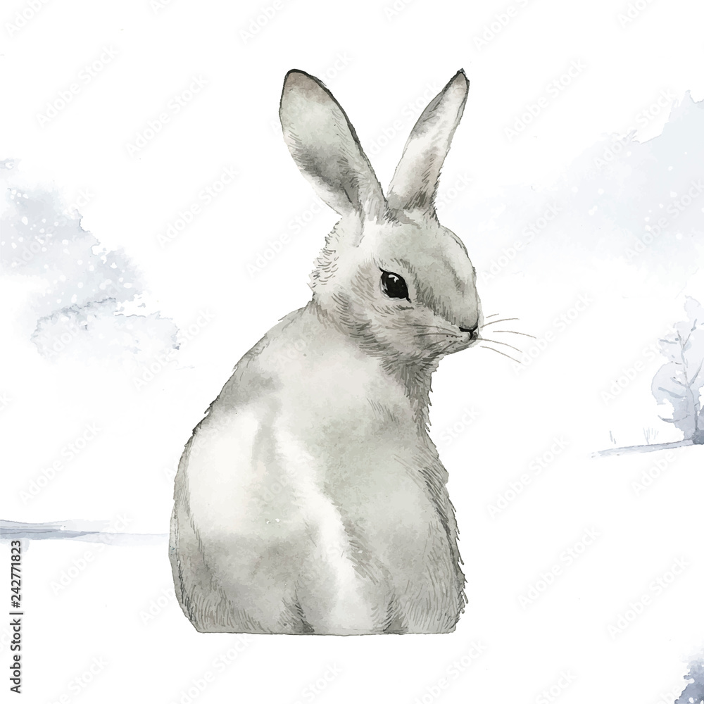 Fototapeta premium Dziki szary królik w zimowej krainie czarów namalowany akwarela wektorem
