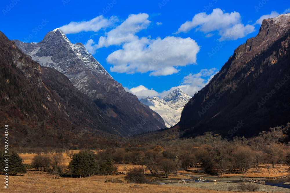 Four Girls Mountain National Park in Sichuan Province, China. ShuangQiao Valley Scenic Area, Snow Capped Mountains with Trees and Brown Grass in Foreground. Snow Mountains, Siguniangshan