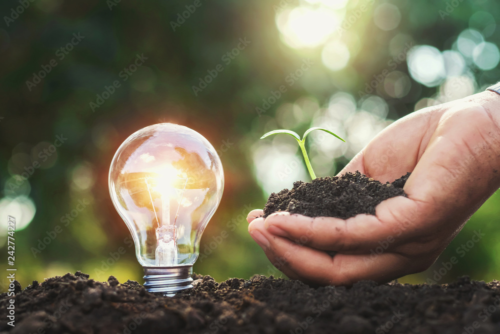 Fototapeta premium light bulb on soil and hand holding small tree. power energy in nature concept