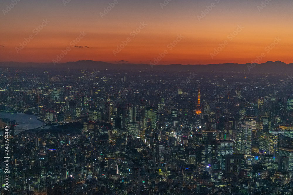 東京タワーと都心の夜景 空撮