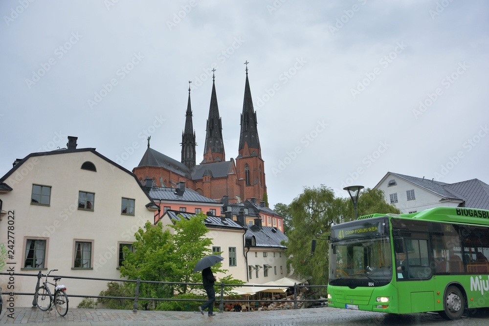 Obraz premium Uppsala University City, Sweden: Character Uppsala College Student. View the majestic Uppsala Cathedral, reflecting the beauty of Uppsala, Sweden. Travel time: May 31 to June 9, 2015; photo taken on: 