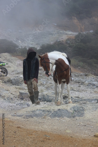 a man and his horse