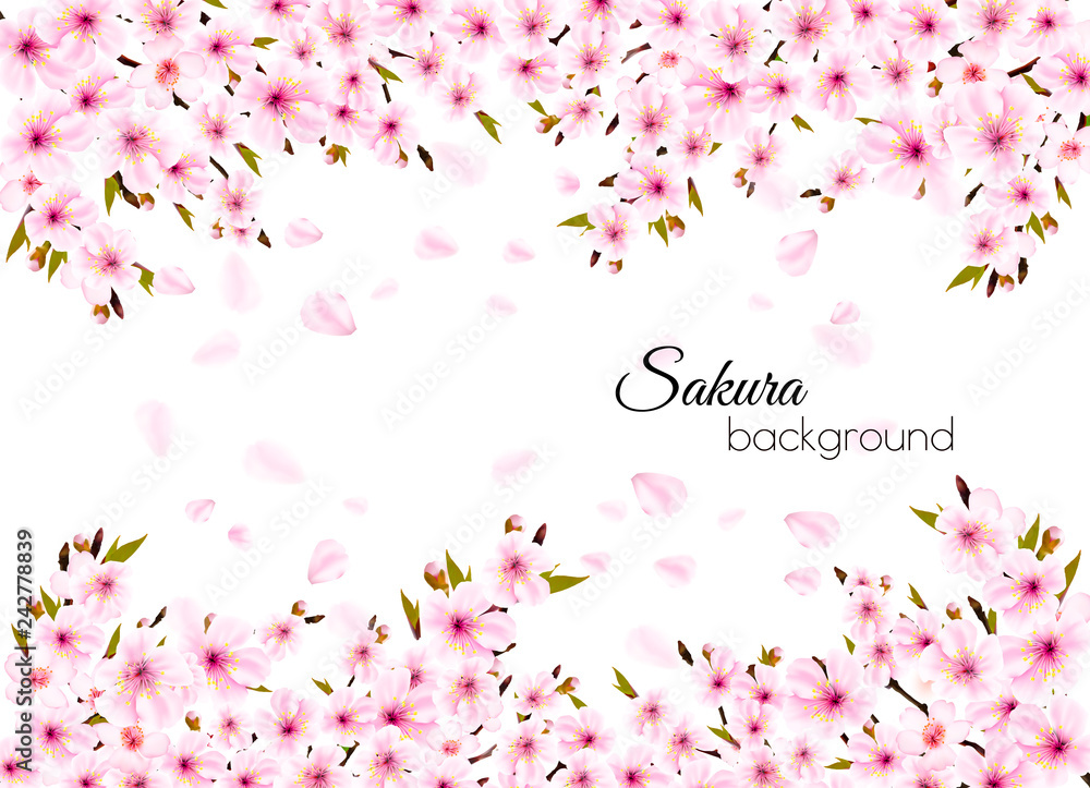 Fototapeta premium Branches of a blossoming sakura background. Vector.