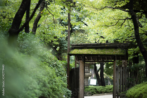 日本庭園 © 慶介 山下