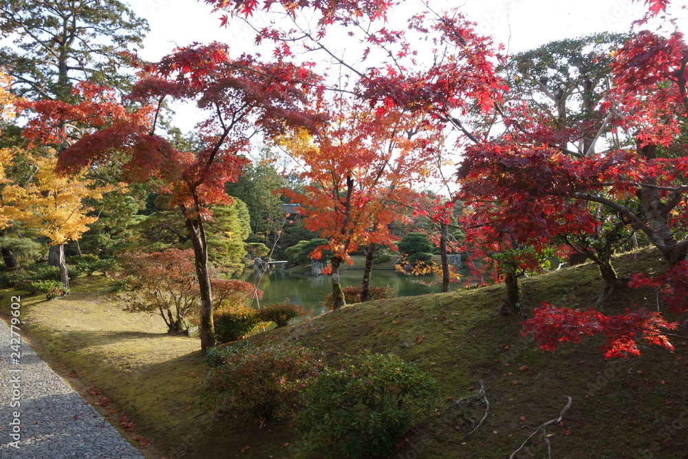 Naklejka premium 桂離宮