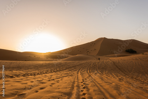Beautiful sunrise view of the Erg Chebbi dunes  Sahara Desert  Merzouga  Morocco in Africa