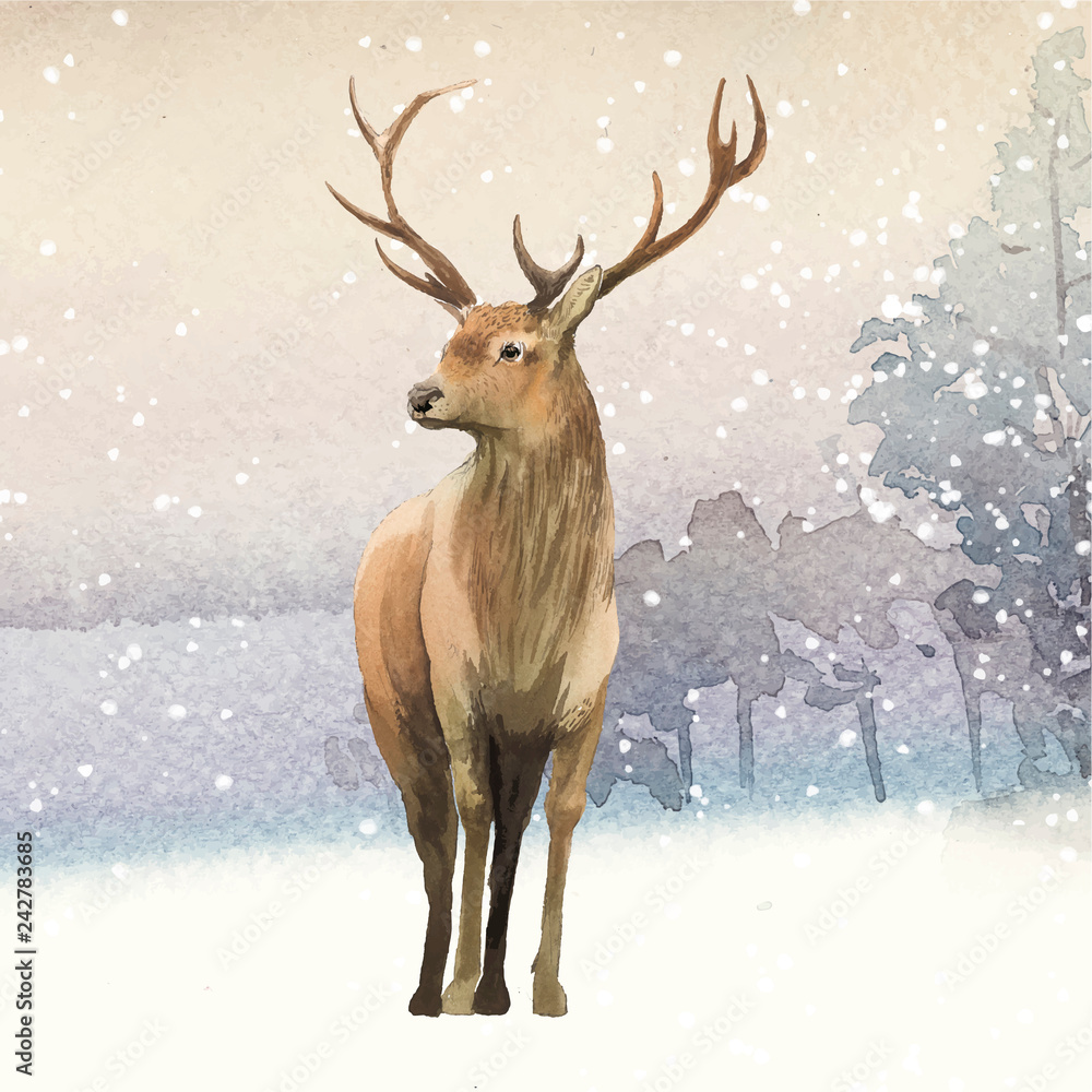 Fototapeta premium Male deer painted by watercolor vector