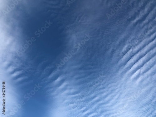 空,雲,すじ雲,青空,自然